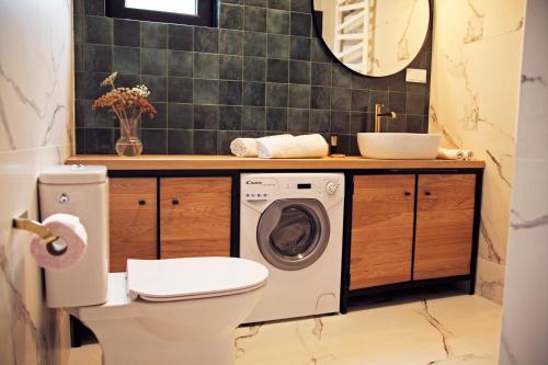 a bathroom with a toilet and a washer and dryer at Domek Dzikie Lisko in Lesko