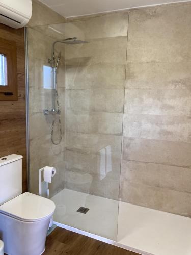 a bathroom with a shower and a toilet at O REFUXIO DOS CEBREIROS in Mazaricos