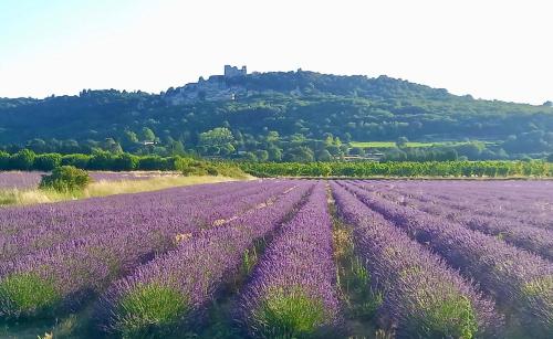 a field of lavender with a castle in the background at La Villa 1777 in Lagnes