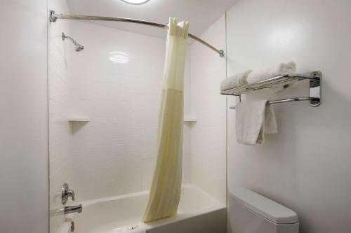 a bathroom with a shower curtain and a toilet at Quality Inn & Suites near Lake Oconee in Turnwold