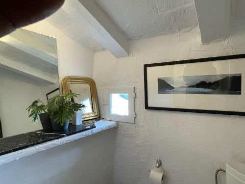 a bathroom with a mirror and a plant on a shelf at APARTAMENTO LUCÍA Y ALISA in Inogés