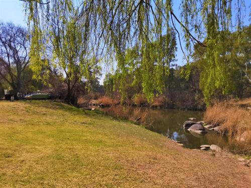 a river in a park with a tree hanging over it at Otters' Haunt Eco Retreat in Parys