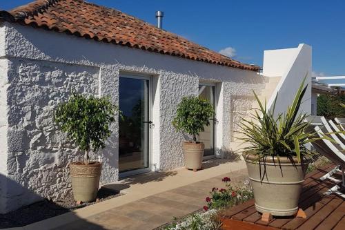 a house with three potted plants in front of it at Casa Viña: a spectacular away from it all holiday in La Orotava