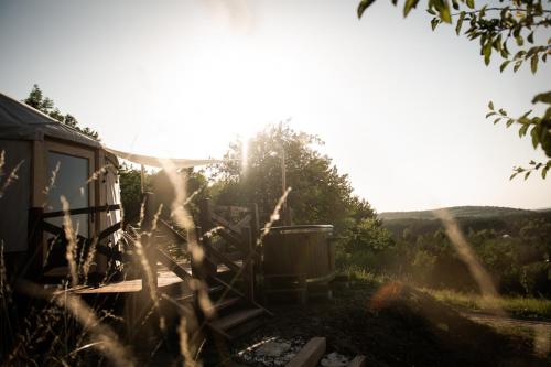 a train sitting in a field with the sun shining at Jurty z widokiem, prywatna balia- DZIKOLAS GLAMPING in Krasnobród