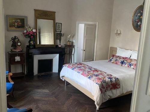 a bedroom with a bed and a fireplace and a mirror at Domaine de ferrabouc in Mas-Saintes-Puelles