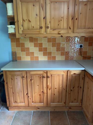 a kitchen with wooden cabinets and a counter top at Ballygastle in Lisdoonvarna