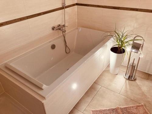 a white bath tub in a bathroom with a potted plant at Schiller Apartment in Münchberg