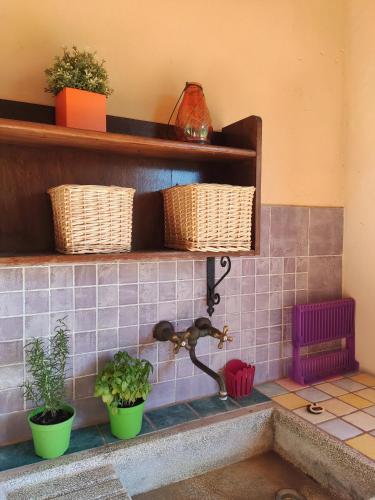 Φωτογραφία από το άλμπουμ του Podere Borgaruccio σε Peccioli