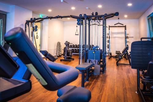 a gym with a bunch of treadmills and machines at Schloss Haindorf in Langenlois