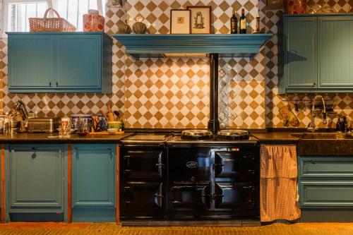 a kitchen with a black stove and blue cabinets at Flora in Antwerp