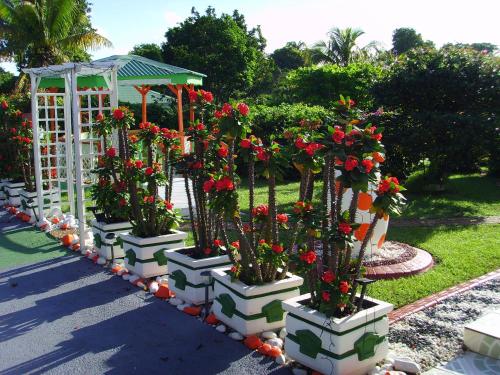 Jardin de l'établissement Villa Ludivine