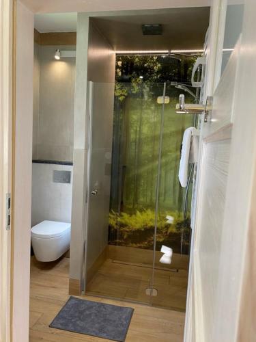 a bathroom with a glass shower with a toilet at Largo Lake Resort Kaszuby in Borsk