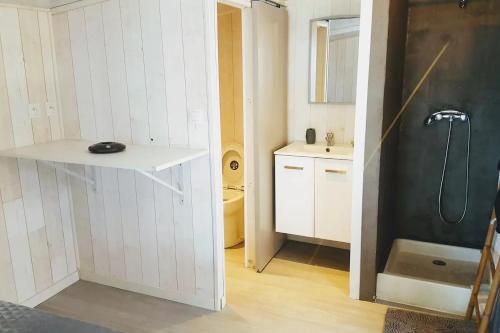 a small bathroom with a shower and a sink at Studio Airbn'Beer in Le Lambert