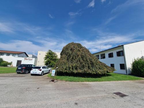 B&B BORGO TESIS – Photos 3