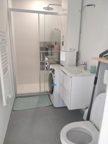 une salle de bain avec une douche, des toilettes et un lavabo dans l'établissement Logement centre Sarzeau Golfe du Morbihan France, à Sarzeau