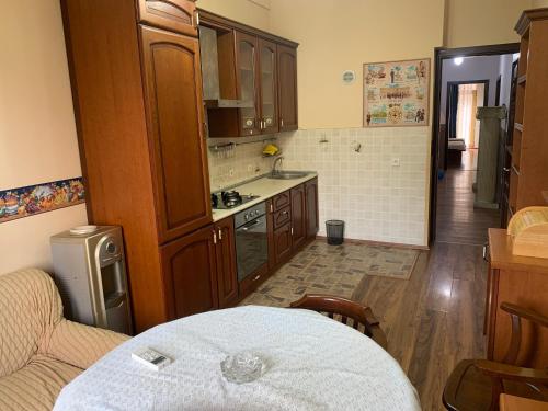 Cuina o zona de cuina de Gulustan Apartment