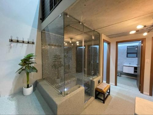 a bathroom with a shower with a potted plant at Escape to Pringle in Pringle Bay