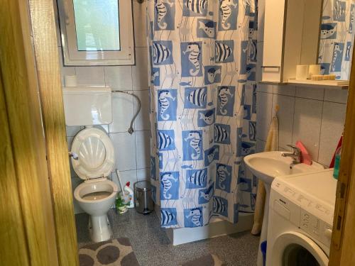 La petite salle de bains est pourvue de toilettes et d'un lavabo. dans l'établissement Katina vikendica, à Veliko Gradište