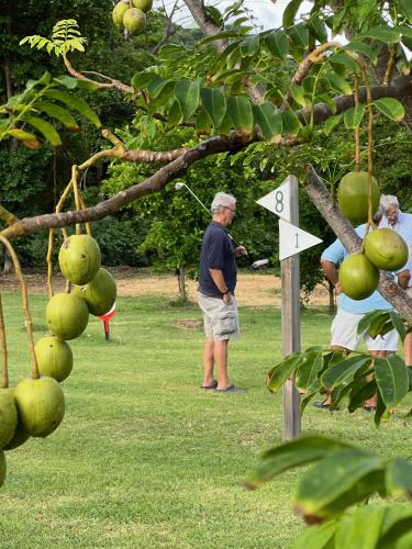 a couple of people standing in the grass next to a tree at Firefly Estate Bequia in Crescent Beach