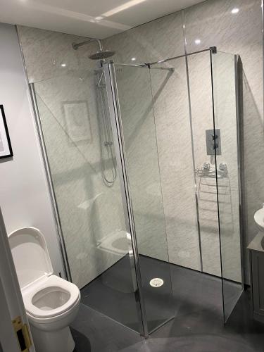 een badkamer met een douche en een toilet bij 12 North Street in Sandwick