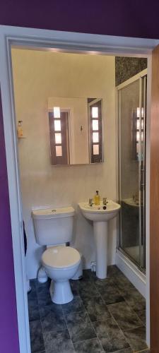 a bathroom with a toilet and a sink and a shower at LLety Cynin in Llangynin