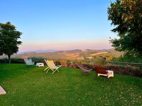 a group of lawn chairs sitting on the grass at Agriturismo Fattoria di Monticello in San Venanzo