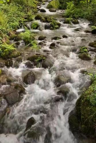 a stream of water with rocks and trees at Casa Leirón in Parada del Sil