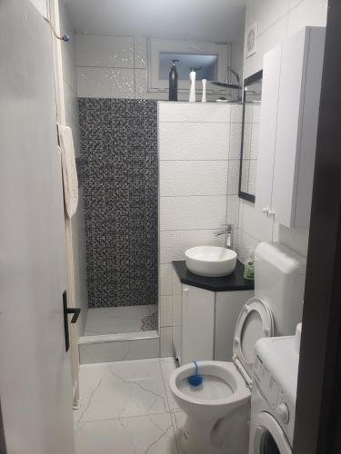 a bathroom with a shower and a toilet and a sink at Stan na dan 50 BAM in Prijedor
