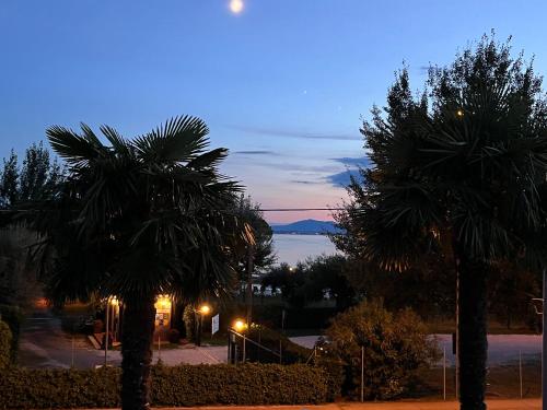 two palm trees at night with a view of the ocean at Levar Del Sole in Passignano sul Trasimeno