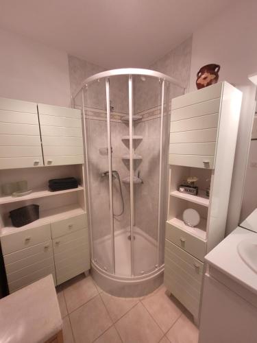 La salle de bains est pourvue d'une douche. dans l'établissement Le Papé logement meublé tourisme 3 étoiles, à Villers-sur-Mer