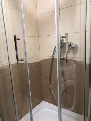 a shower with a glass door in a bathroom at Apartment Arena Lux in Fontana