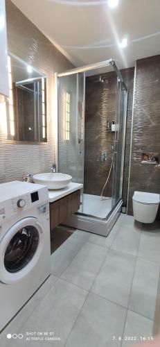a bathroom with a washing machine and a sink at BalkanHill2 S37 Pekovic green in Zlatibor