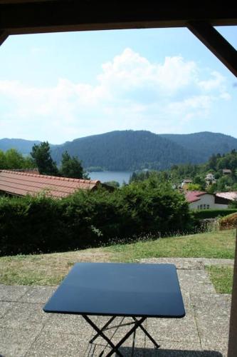 Photo de la galerie de l'établissement Esprit Myrtille Terrasse Vue Lac, à Gérardmer