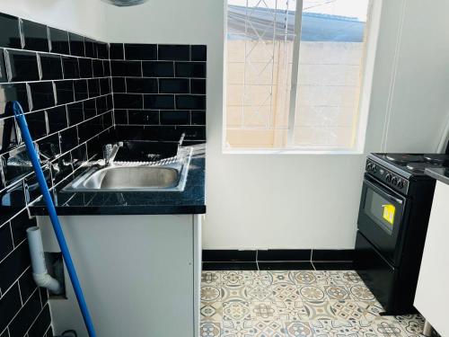 a small kitchen with a sink and a dishwasher at Safi Neat & Cozy Suite in East London