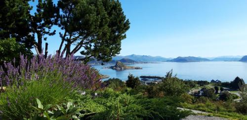 Godøy的住宿－Relaxing place on Godøya，享有树木和紫色花卉的湖泊美景