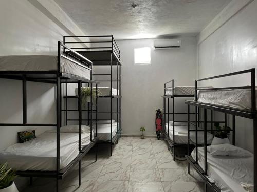 a room with four bunk beds in a room at Rincon Dorms in Rincon