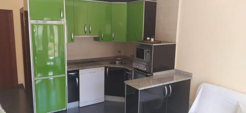 a kitchen with green cabinets and black appliances at Apartamento Haro Wine Experience in Haro
