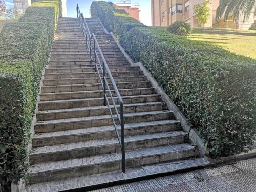 a set of stairs next to a hedge at Hostel de las Facultades in Santander