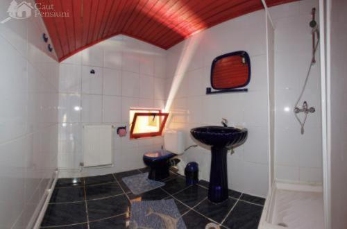a bathroom with a sink and a toilet at Barlogul Ursilor Lepsa in Lepşa