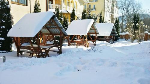 Edelweiss зимой
