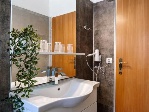 a bathroom with a sink and a potted plant at Hotel Falk in Bremen