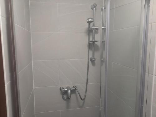 a shower stall with a glass door with a shower at Lovely 1-Bed Studio in London in London