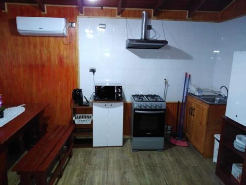a kitchen with a stove and a sink at Adilauquen Cabañas y Tinajas Calientes in Puerto Varas