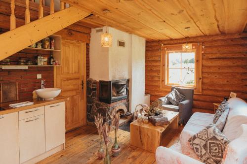 a living room with a fireplace in a log cabin at Jaunlidumnieki in Mālpils