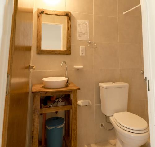 La salle de bains est pourvue de toilettes, d'un lavabo et d'un miroir. dans l'établissement Hosteria Alma de Patagonia, à El Chalten