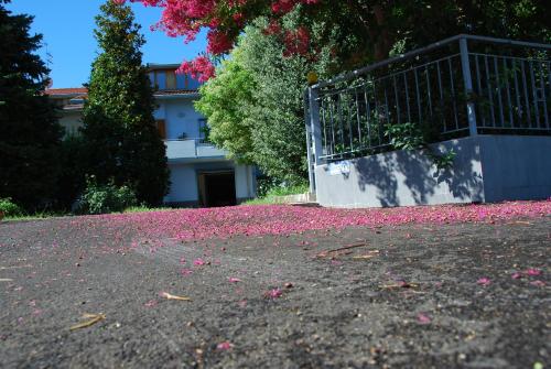 Κήπος έξω από το Bianco Nuvola