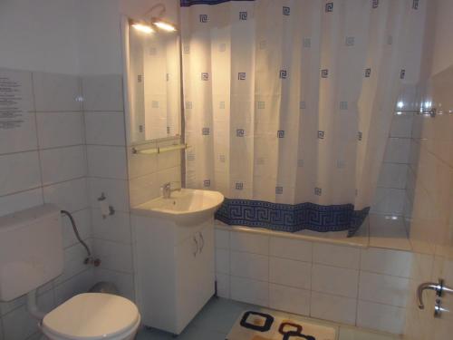 ブラショヴにあるVilla D'Hollandeのバスルーム(トイレ、洗面台、シャワー付)