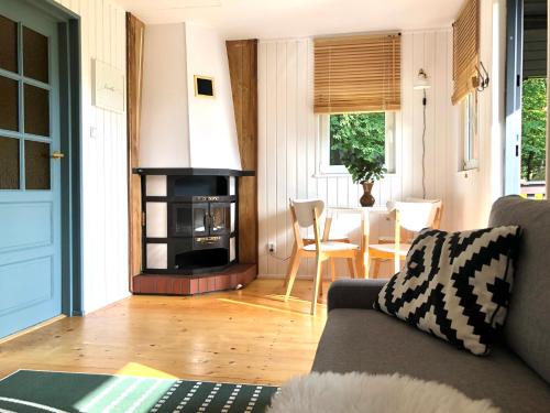 a living room with a couch and a fireplace at Domek Pod Lasem in Trzciana