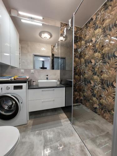 斯塞新的住宿－Kamienica Nova Nike 115，一间带水槽和洗衣机的浴室