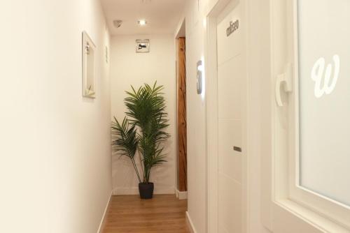 a hallway with a potted plant in it at Woohoo Rooms Hortaleza in Madrid